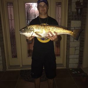 Meet your Posher, Wayne